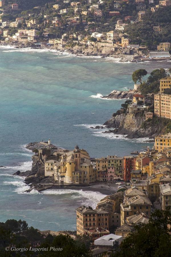 Appartement La Casa Di Francy à Camogli Extérieur photo