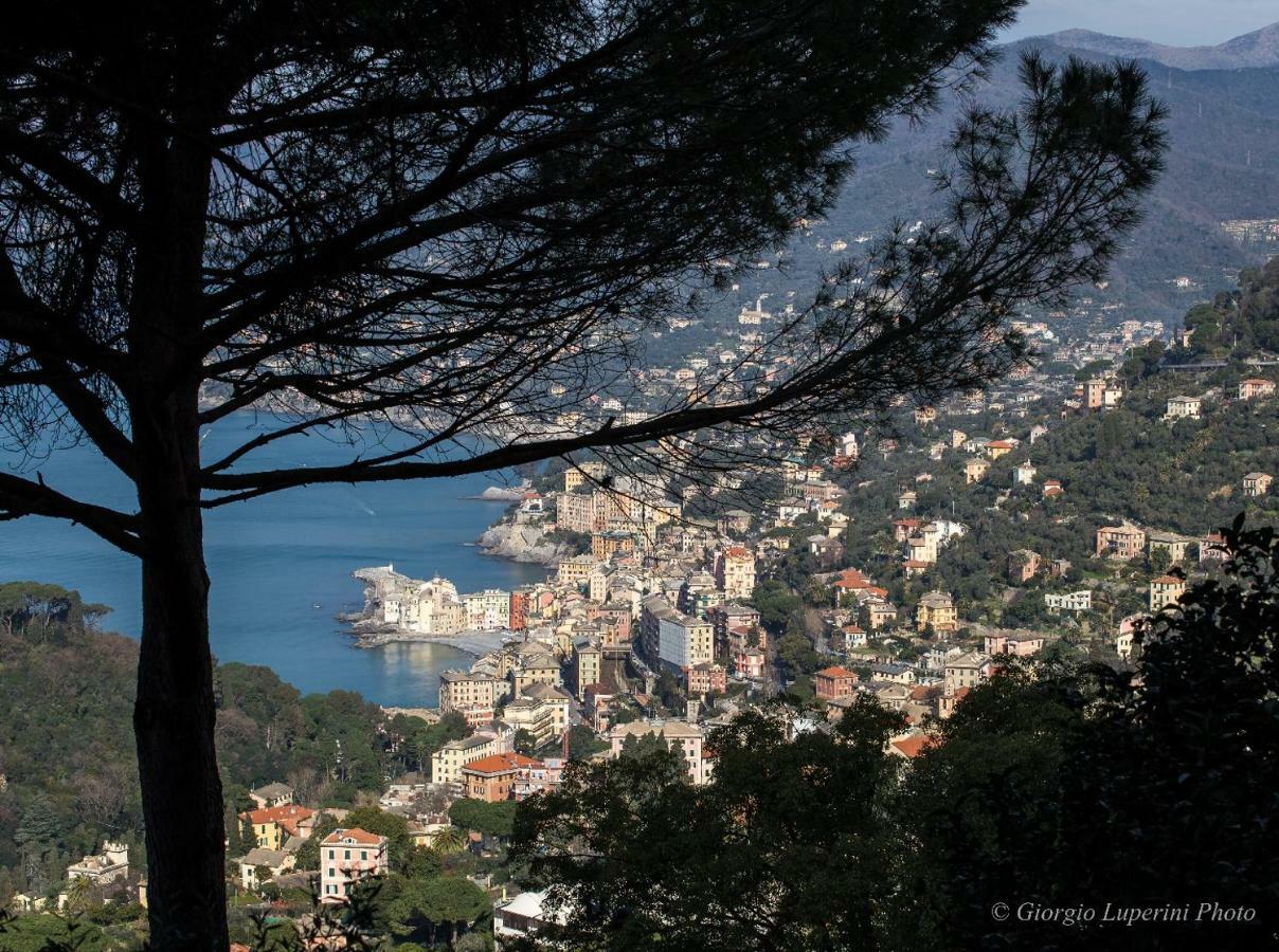 Appartement La Casa Di Francy à Camogli Extérieur photo