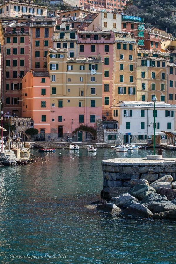 Appartement La Casa Di Francy à Camogli Extérieur photo