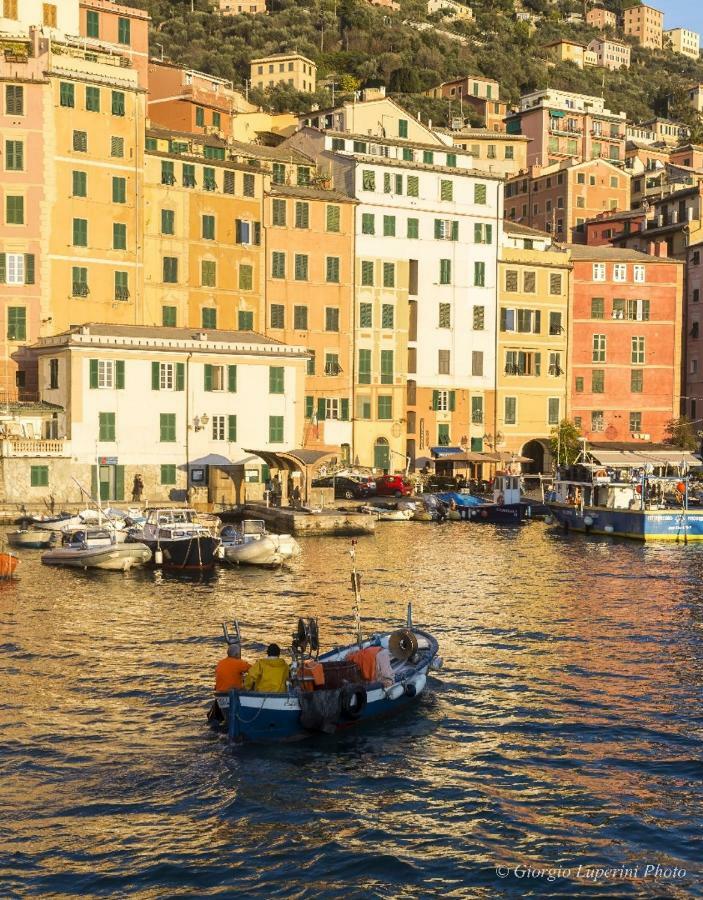 Appartement La Casa Di Francy à Camogli Extérieur photo