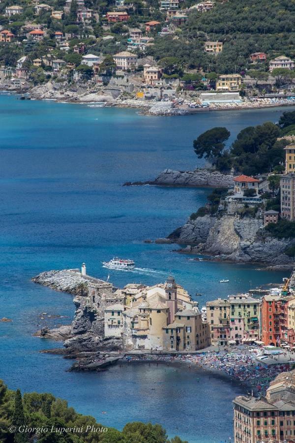 Appartement La Casa Di Francy à Camogli Extérieur photo