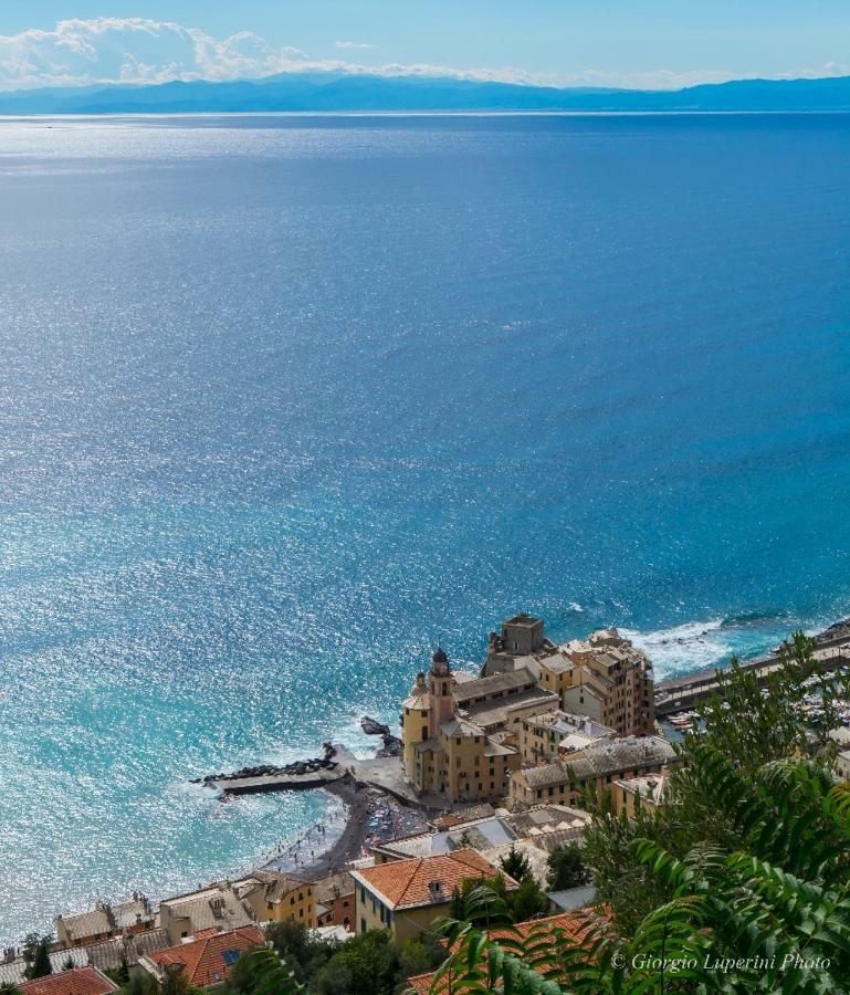 Appartement La Casa Di Francy à Camogli Extérieur photo