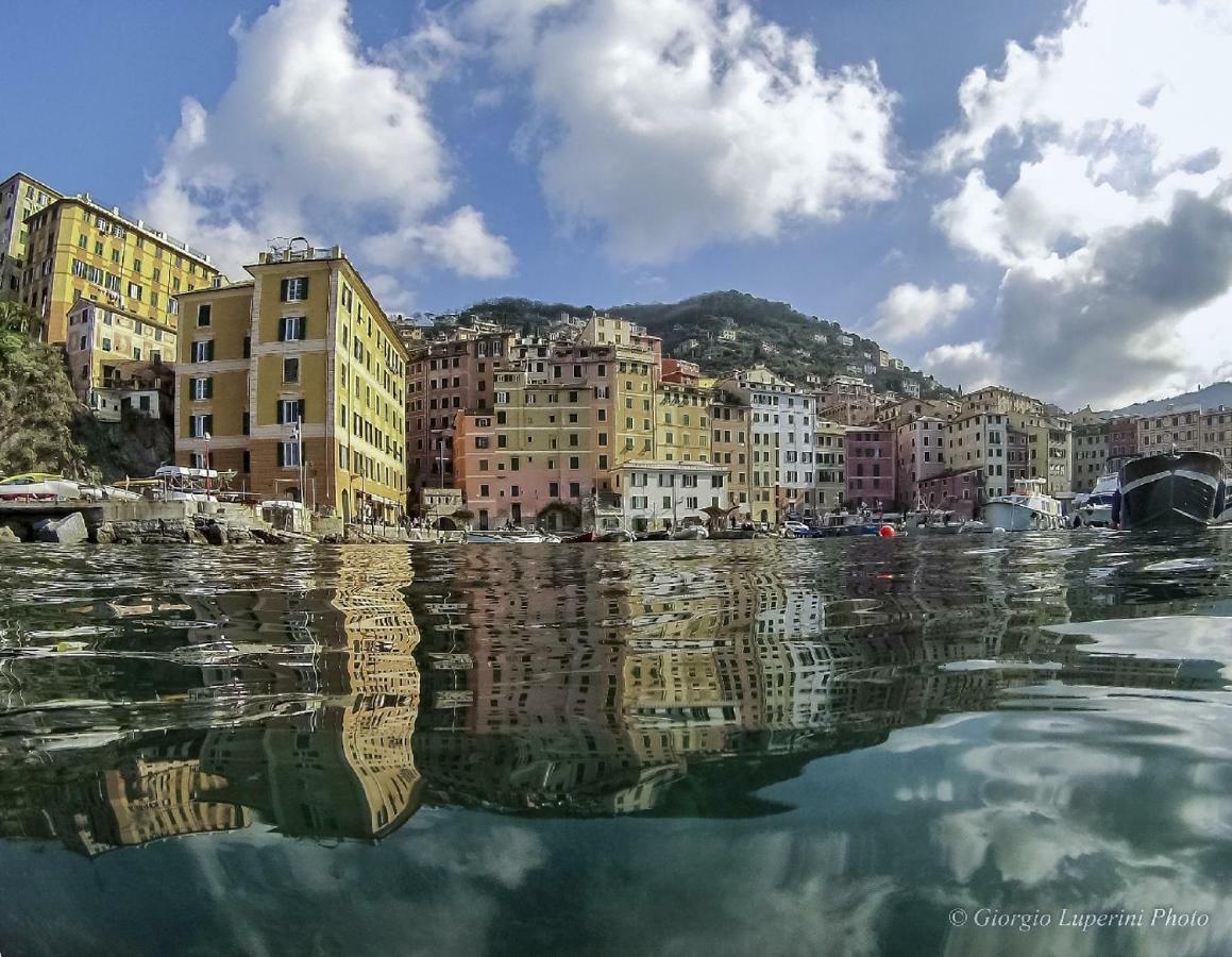 Appartement La Casa Di Francy à Camogli Extérieur photo