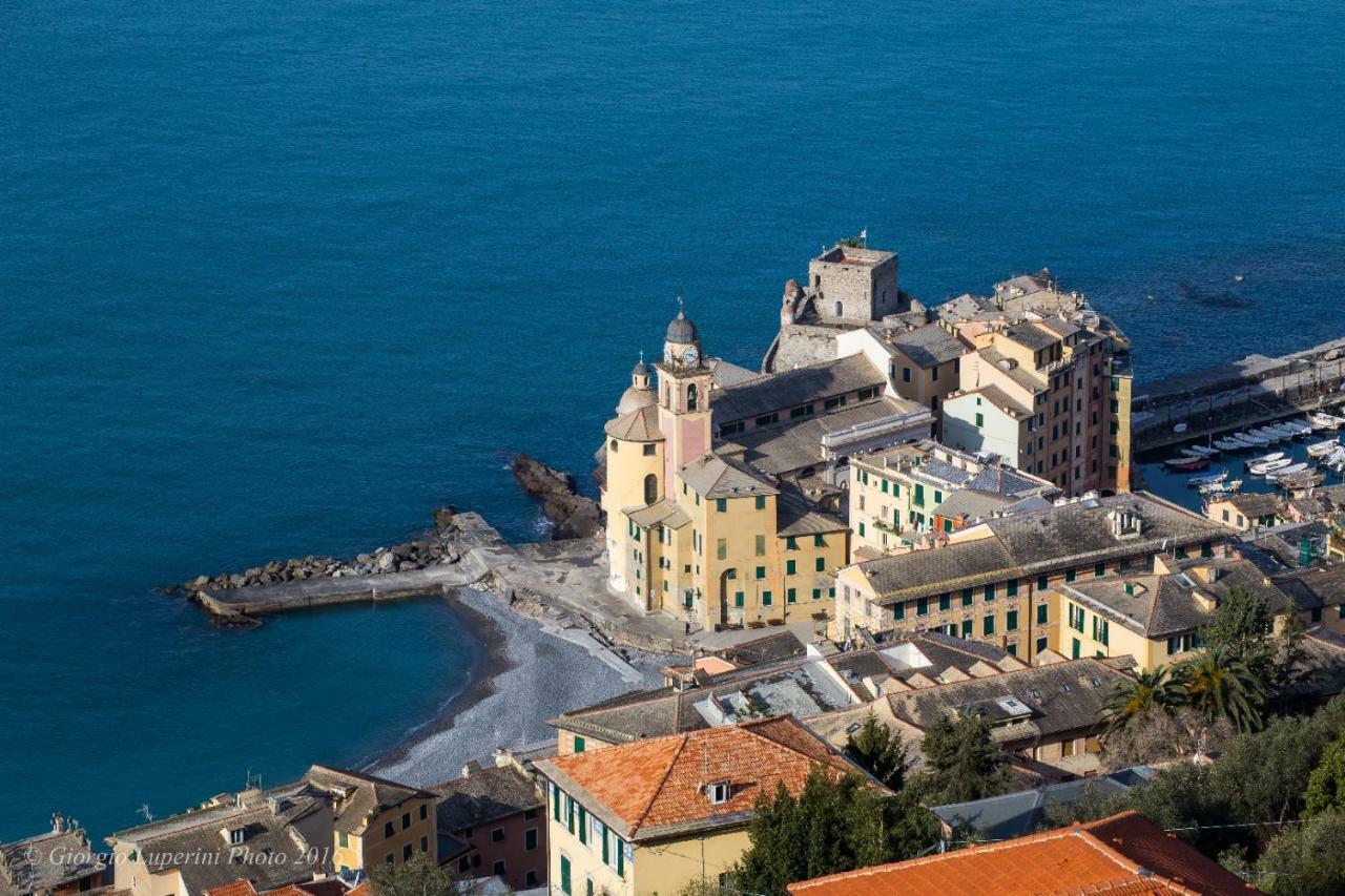 Appartement La Casa Di Francy à Camogli Extérieur photo