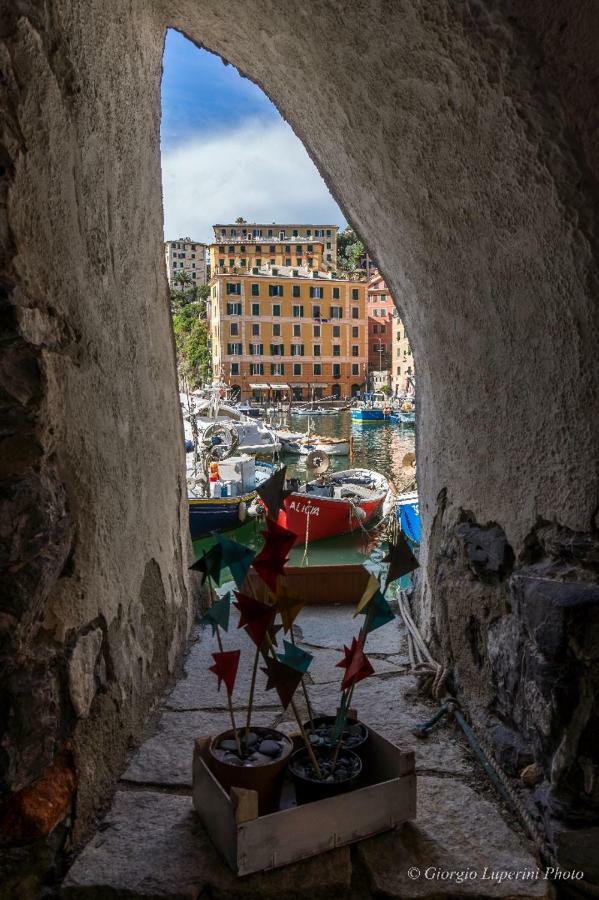 Appartement La Casa Di Francy à Camogli Extérieur photo