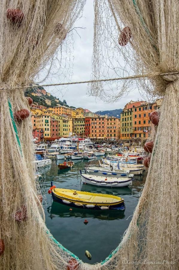 Appartement La Casa Di Francy à Camogli Extérieur photo