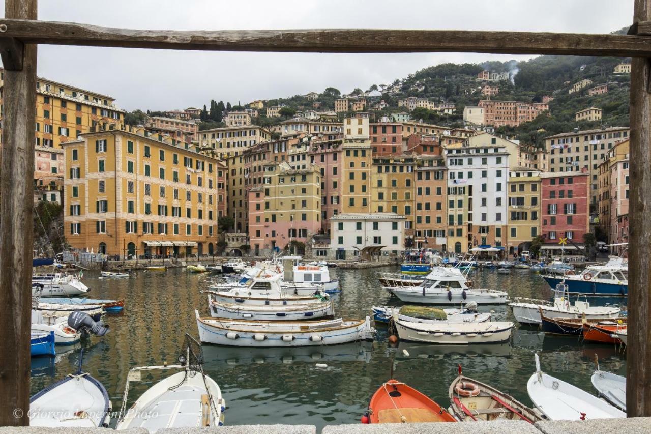 Appartement La Casa Di Francy à Camogli Extérieur photo