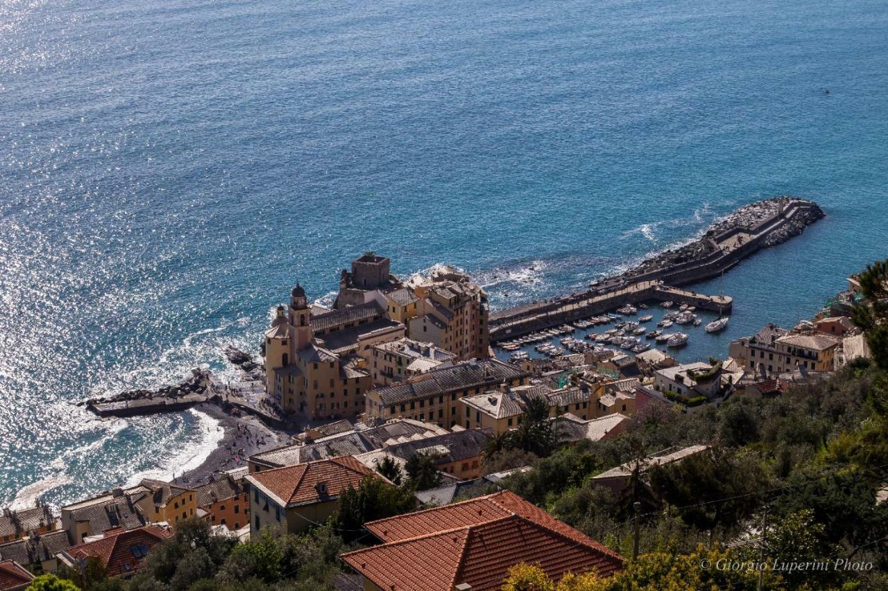 Appartement La Casa Di Francy à Camogli Extérieur photo