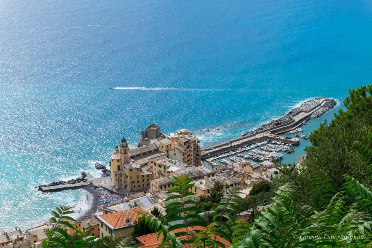 Appartement La Casa Di Francy à Camogli Extérieur photo